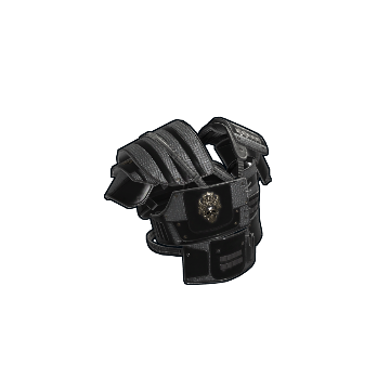 Black Diamond Roadsign Vest