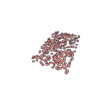 Rose Pedals Rug