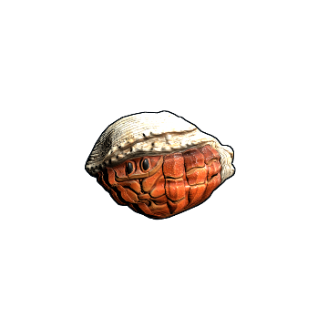Hermit Crab Rock