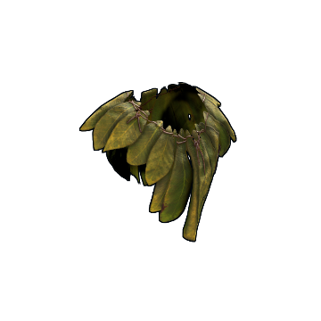 Banana Leaf Poncho