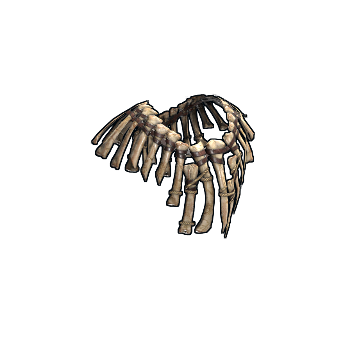 Bone Armor Poncho