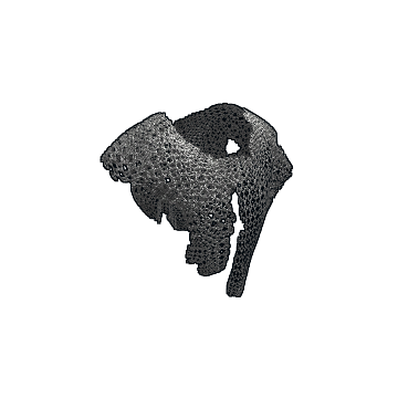 Chainmail Poncho