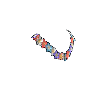 Lei