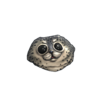 Harbor Seal Rock
