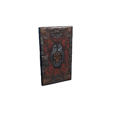 Wild Owl Door