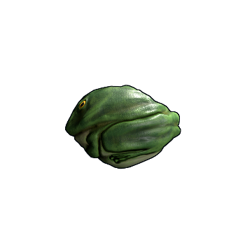 Frog Rock