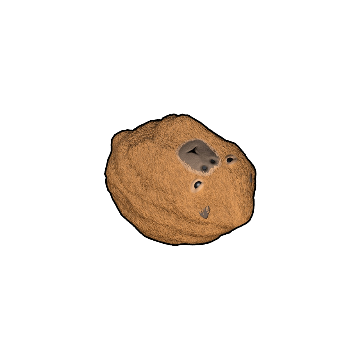 Capybara Rock
